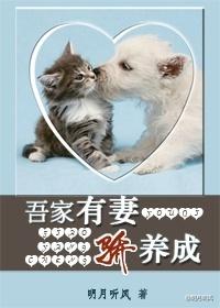 吾家有妻骄养成明月听风番外