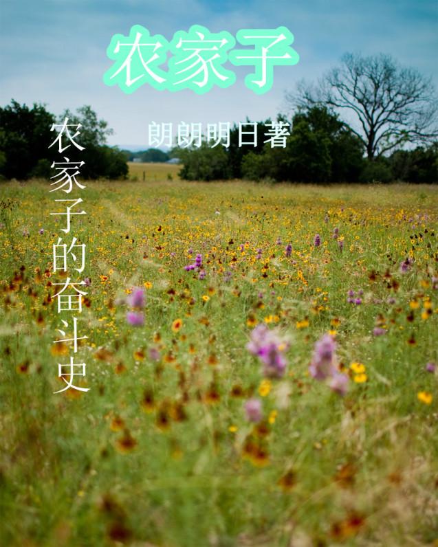 农家子的科举生活