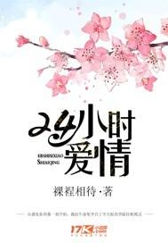 24小时爱情 电视剧简介