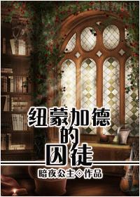 纽蒙加德的囚徒作者暗夜公主