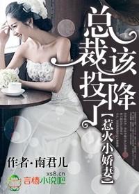 总裁该投降了未删减版 南君儿