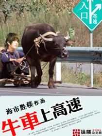 大牛能上高速吗