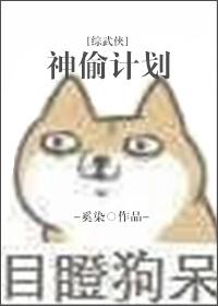 神偷计划txt