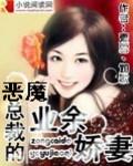 恶魔总裁的娇宠妻