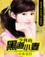 少将的黑道小妻全文免费阅读