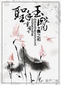 穿越之圣手医妃
