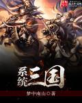 系统流三国排行榜完本