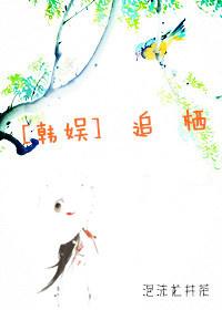 追韩娱需要干什么