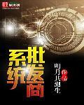 批发订单系统