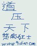 道压天下TXT