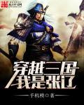 穿越三国成为张辽