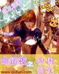 命运之夜4