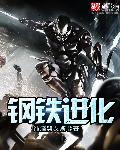 钢铁进化mod召唤失败怎么解决