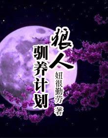 狼人计划规则