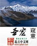 娘娘她独得圣宠