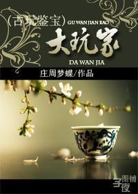 赌石鉴宝大师