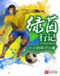 绿茵txt