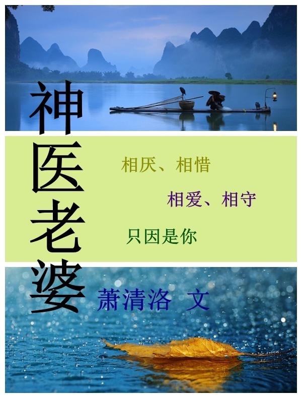 神医老婆故事