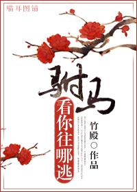 驸马看你往哪逃晋江