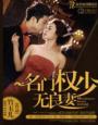 权少极致撩免费阅读