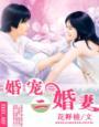 二婚宠妻很能跑免费阅读