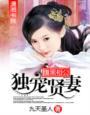 腹黑相公甜宠妻全文免费阅读