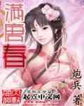 满唐春 378
