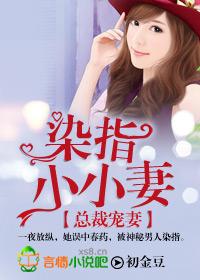 总裁欢宠小小妻全文阅读