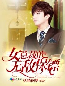 女总裁的无敌保镖陆云舟免费阅读