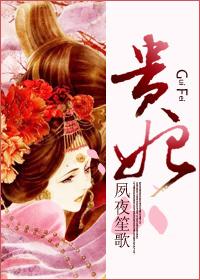 贵妃和皇贵妃有啥区别