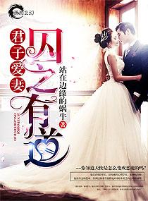 君子爱妻囚之有道讲的啥