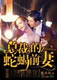 总裁的前妻