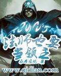 法师领主r