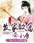 穿越之发家致富 作者清风而徐