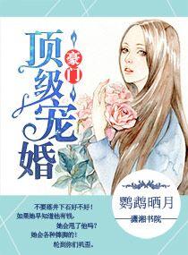 豪门顶级宠婚讲的什么