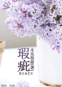 瑕疵检测仪