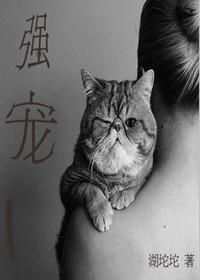 强宠面具娇妻