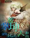 掌乾坤大结局