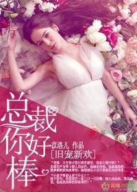旧爱新宠 折翼的灰姑娘