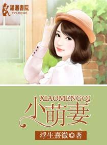 小萌妻顾慕城顾宝儿