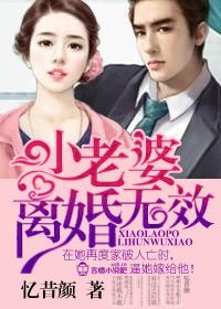 老婆离婚无效免费阅读全文