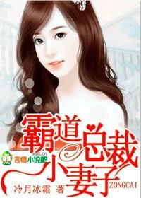 霸道总裁的小妻子 未删减版 冷月冰霜