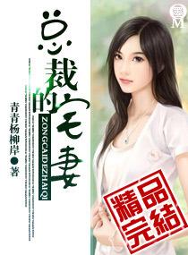 总裁的宅妻txt