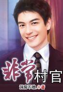 非常村官续