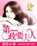 第一政要夫人笔趣阁TXT
