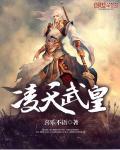 凌天武王