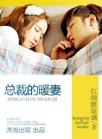 总裁暖妻娶一送一