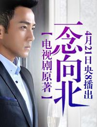 一念路向北完整版