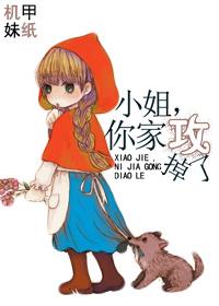 小姐你家攻掉了 txt