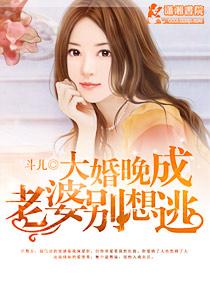 大婚晚辰天价小妻子全文免费